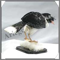 PIE (Corps en ONYX NOIR) - 110 mm - A001