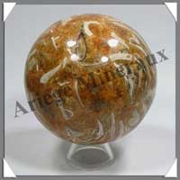 AMONITE FOSSILE - Sphre - 85 mm - 790 grammes - R002