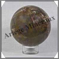 BOIS FOSSILE - Sphre - 60 mm - 325 grammes - R005