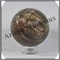 BOIS FOSSILE - Sphre - 60 mm - 325 grammes - R005