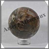 BOIS FOSSILE - Sphre - 60 mm - 325 grammes - R005
