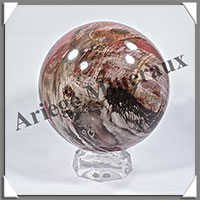 BOIS FOSSILE - Sphre - 120 mm - 2 300 grammes - Y002