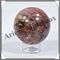 BOIS FOSSILE - Sphre - 50 mm - 170 grammes - Y003