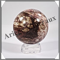 BOIS FOSSILE - Sphre - 95 mm - 1 100 grammes - Y004