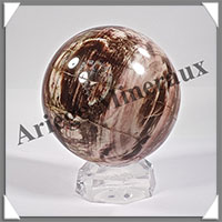 BOIS FOSSILE - Sphre - 95 mm - 1 100 grammes - Y004