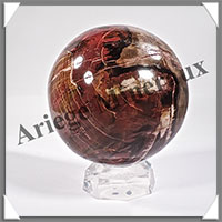 BOIS FOSSILE - Sphre - 105 mm - 1 580 grammes - Y005