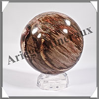 BOIS FOSSILE - Sphre - 105 mm - 1 580 grammes - Y005