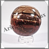 BOIS FOSSILE - Sphre - 105 mm - 1 580 grammes - Y005