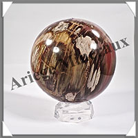 BOIS FOSSILE - Sphre - 120 mm - 2 000 grammes - Y006