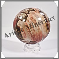 BOIS FOSSILE - Sphre - 120 mm - 2 000 grammes - Y006