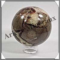 SEPTARIA - Sphre - 67 mm - 431 grammes - Y001